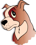 mixed breed dogs
